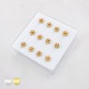 DIMENSIONAL FLORAL MULTI CZ CLUSTER POLISH 316L SURGICAL STEEL L-SHAPE NOSE BOX